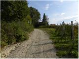 Bogojina - Vršič above Bogojina